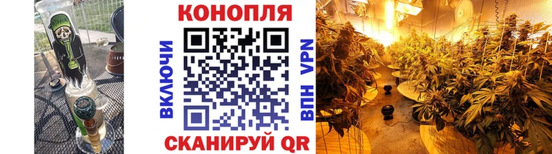 Наркошоп Грязовец Alpha PVP  Галлюциногенные грибы  Кокаин  ГАШИШ  Конопля  Мефедрон 