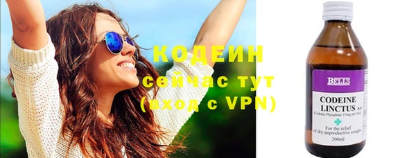 хмурый Горно-Алтайск