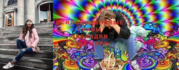 хмурый Горно-Алтайск