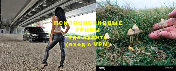 хмурый Горно-Алтайск