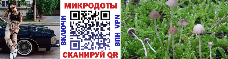 дарк нет формула  Грязовец  Псилоцибиновые грибы Magic Shrooms  наркота 