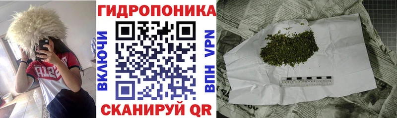 что такое   Грязовец  Каннабис VHQ 